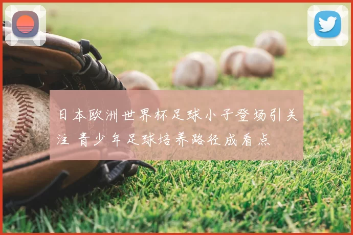日本欧洲世界杯足球小子登场引关注 青少年足球培养路径成看点