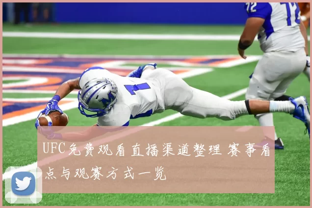 UFC免费观看直播渠道整理 赛事看点与观赛方式一览