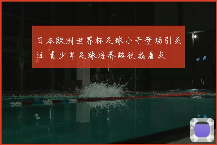 日本欧洲世界杯足球小子登场引关注 青少年足球培养路径成看点