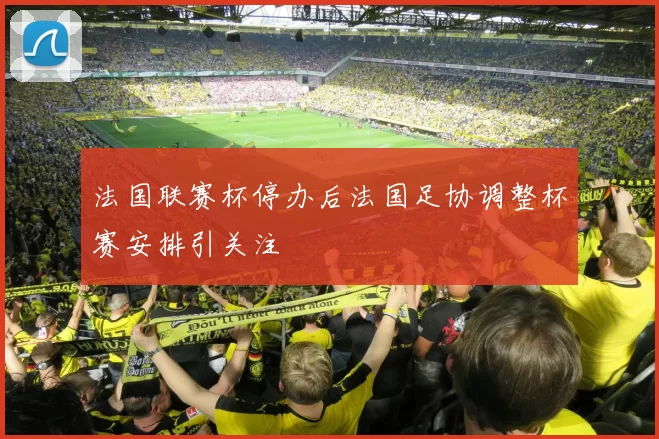 法国联赛杯停办后法国足协调整杯赛安排引关注