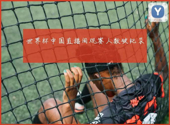 世界杯中国直播间观赛人数破纪录